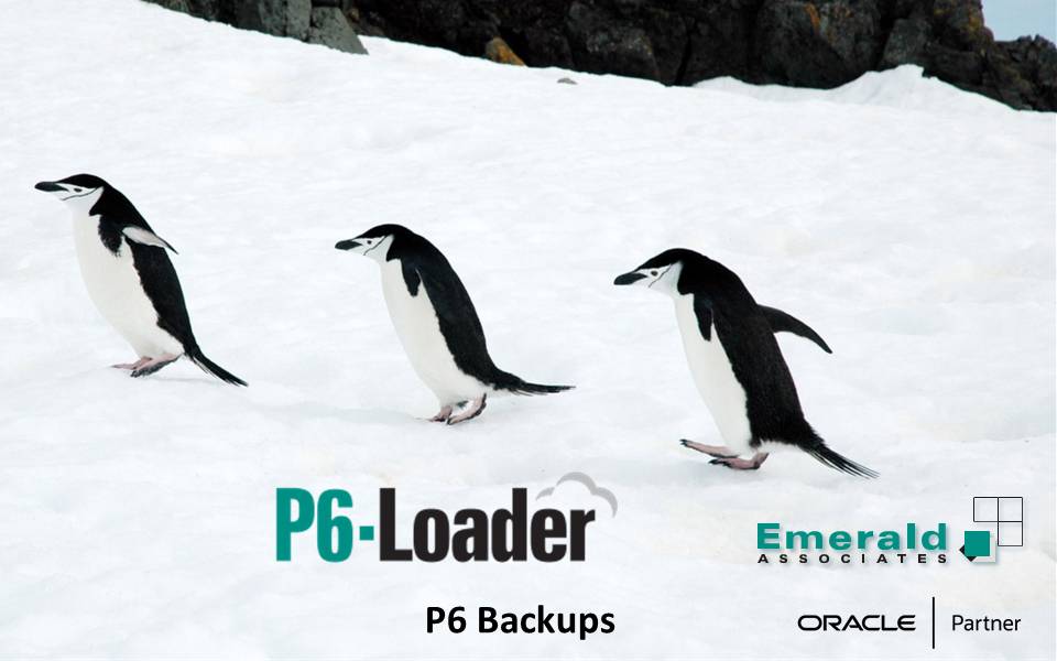 Creating Primavera P6 Backups with P6-Loader - Mini Webinar - 2025-10-23